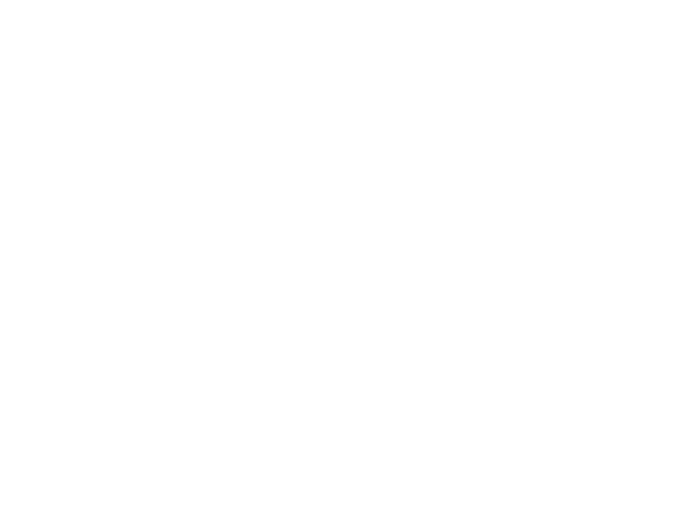 Icon Stoppuhr